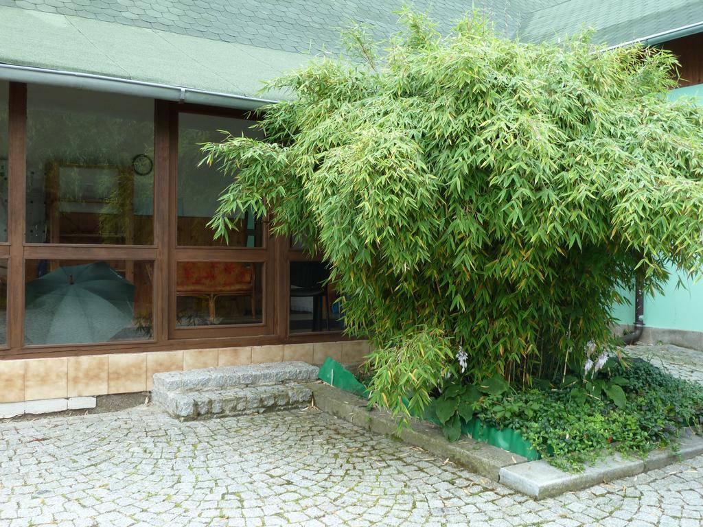 Ubytování Mlýn Velké Losiny Exterior foto